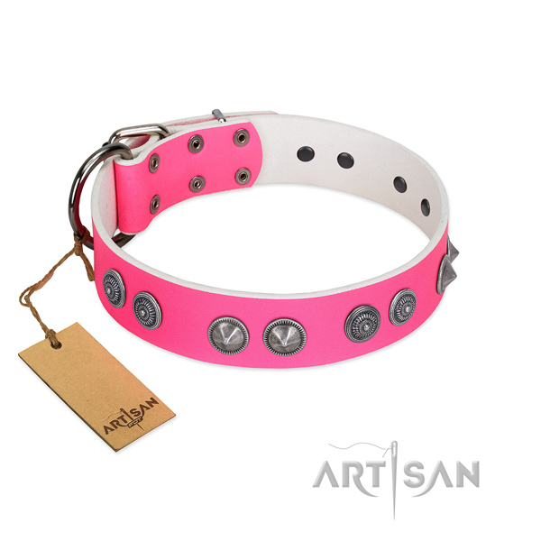 Top rate full grain genuine leather dog collar for your stylish canine