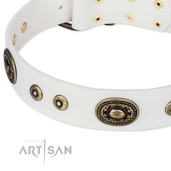 Full grain genuine leather dog collar made of reliable material with embellishments