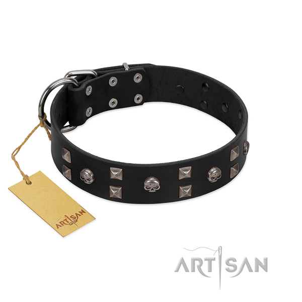 Comfortable wearing dog collar of natural leather with impressive embellishments