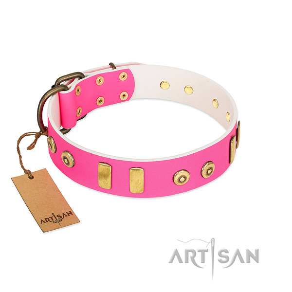 Full grain leather dog collar with unique adornments for walking