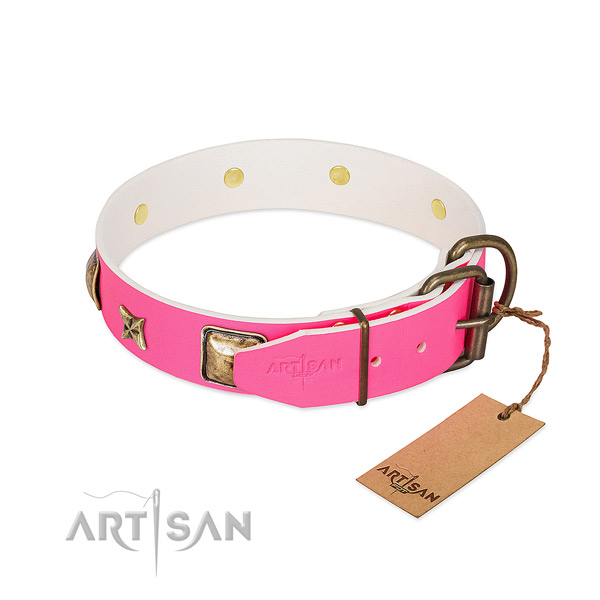 Rust resistant D-ring on full grain leather collar for basic training your pet