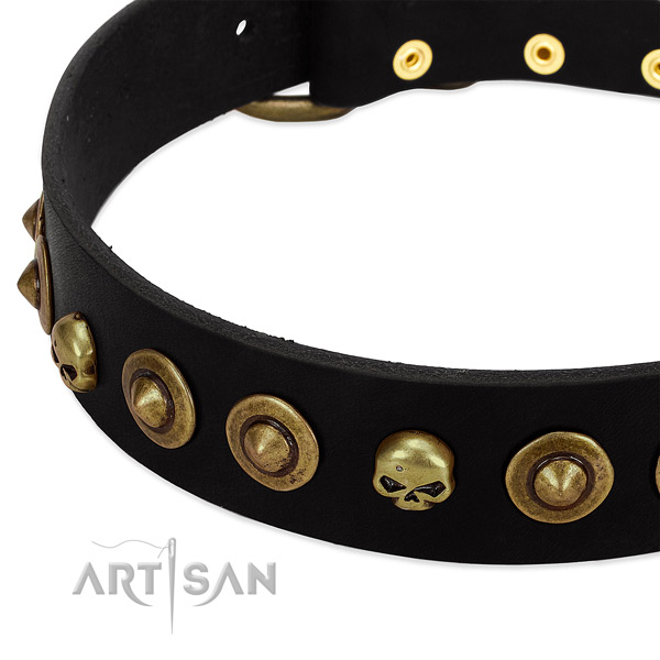 Genuine leather dog collar with stylish design adornments
