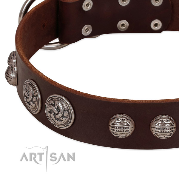 Corrosion proof buckle on genuine leather collar for daily walking your pet