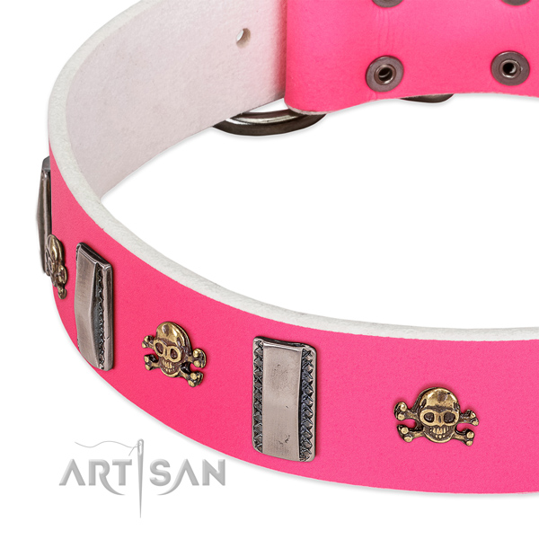 Stylish embellishments on genuine leather dog collar for daily walking
