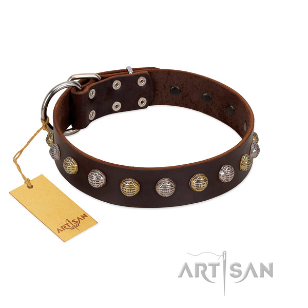 Strong buckle on full grain natural leather dog collar for everyday walking your canine