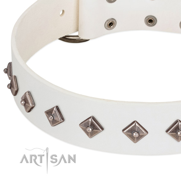 Handmade collar of full grain natural leather for your dog