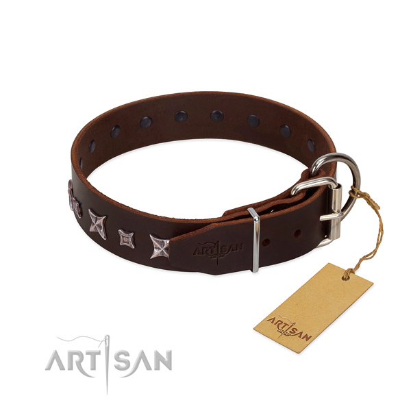best dog collars