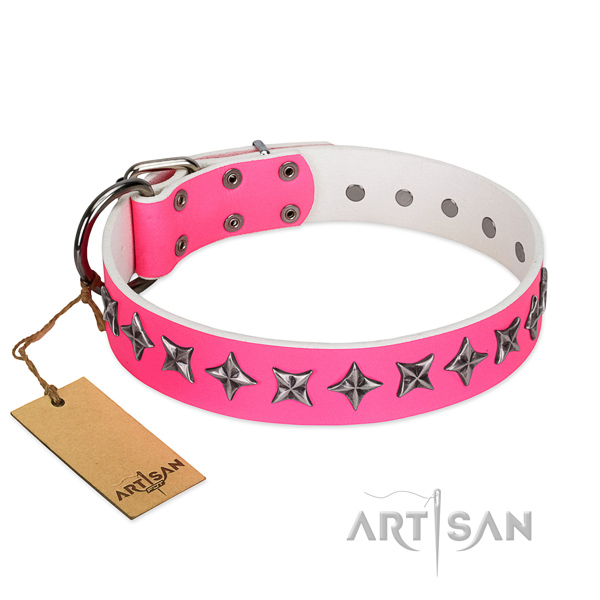 Quality leather dog collar with awesome embellishments
