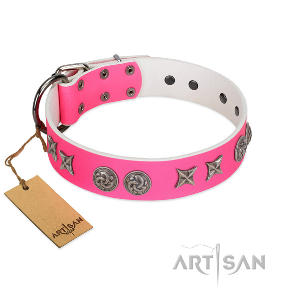 Comfortable wearing dog collar of leather with top notch adornments