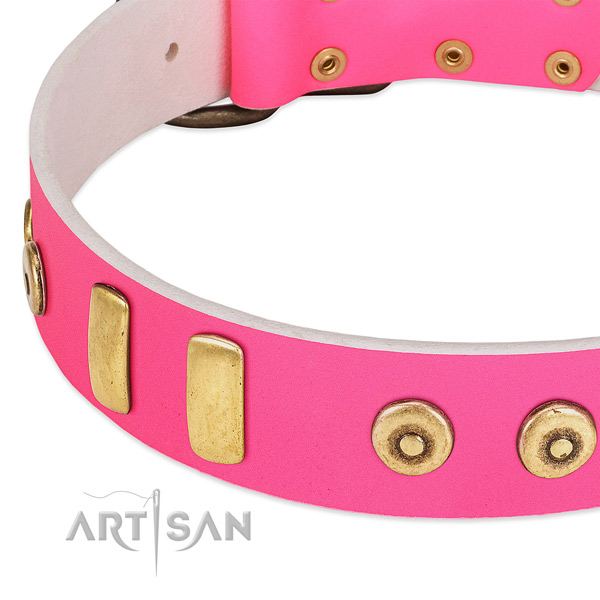 Full grain leather dog collar with adornments for everyday use