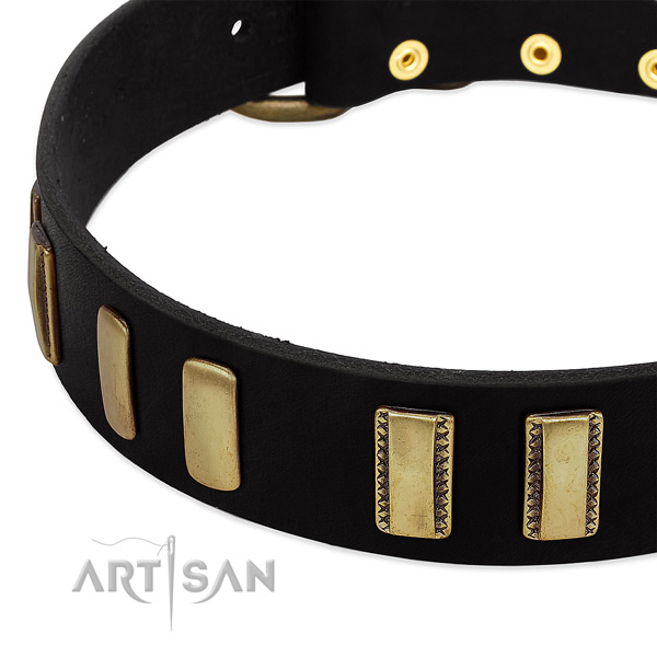 Full grain leather dog collar with rust resistant fittings for handy use