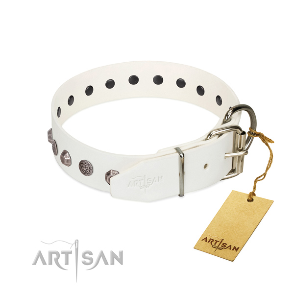 Durable buckle on full grain leather dog collar for stylish walking your pet