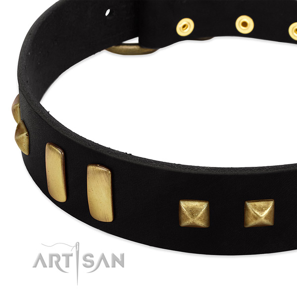 Quality natural leather dog collar with embellishments for everyday use