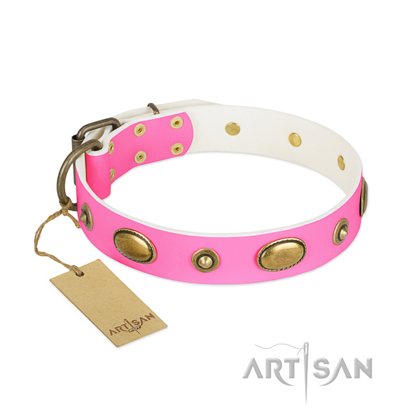 Awesome genuine leather collar for your dog