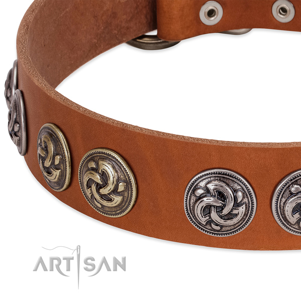 Amazing genuine leather collar for your doggie walking