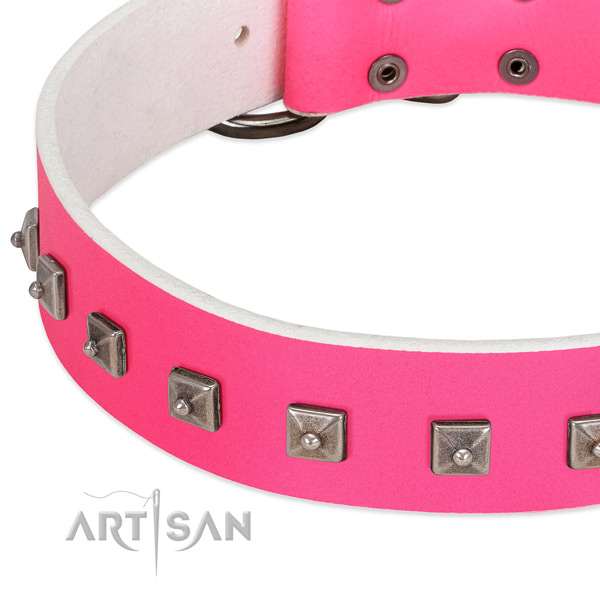 Top rate full grain leather dog collar with remarkable decorations