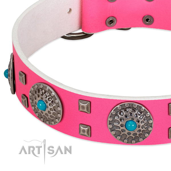 Quality full grain natural leather dog collar with significant studs