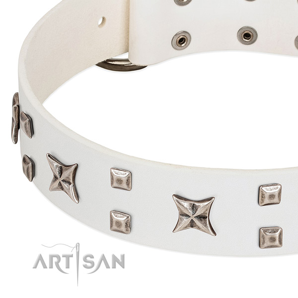 Top rate natural leather dog collar with decorations for daily walking