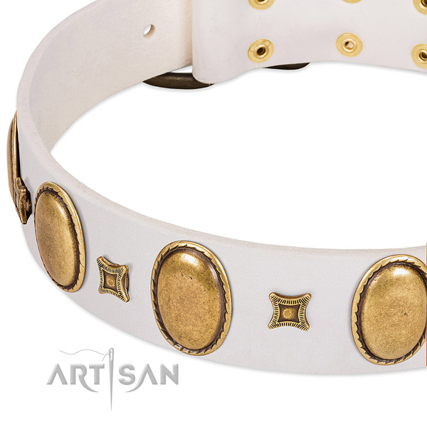 Full grain natural leather dog collar with strong hardware for daily walking