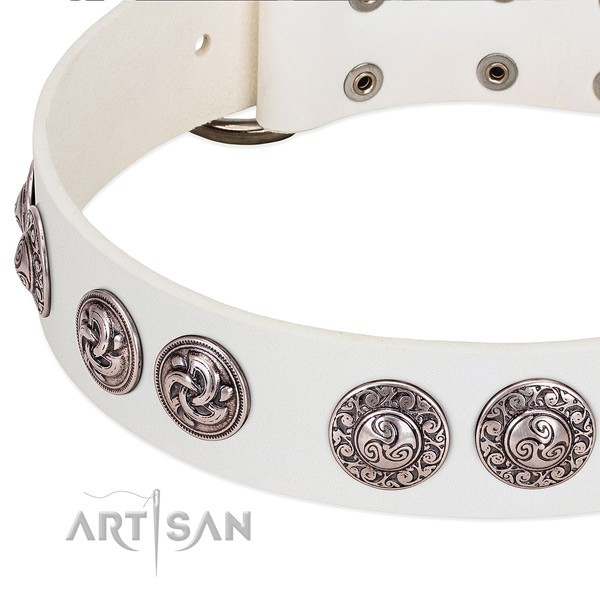 Incredible full grain natural leather dog collar for walking