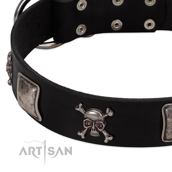 Corrosion resistant studs on full grain natural leather dog collar