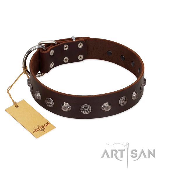 Fashionable natural leather dog collar