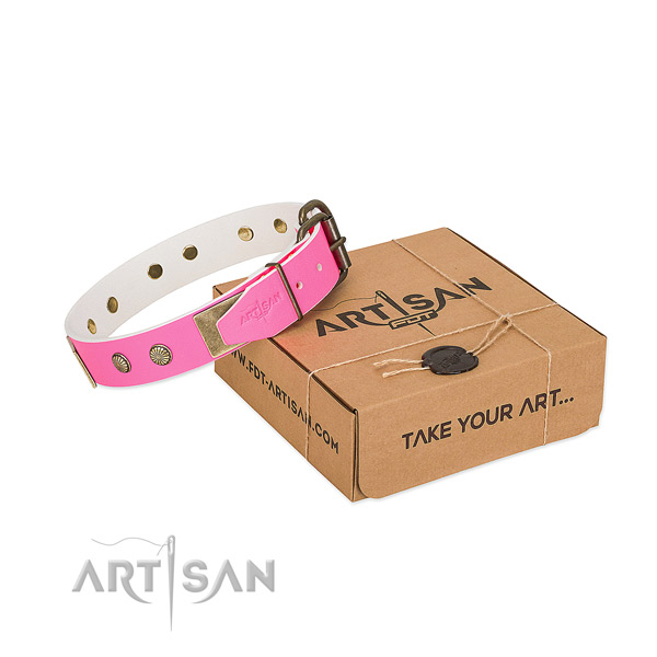 Rust-proof fittings on dog collar for easy wearing