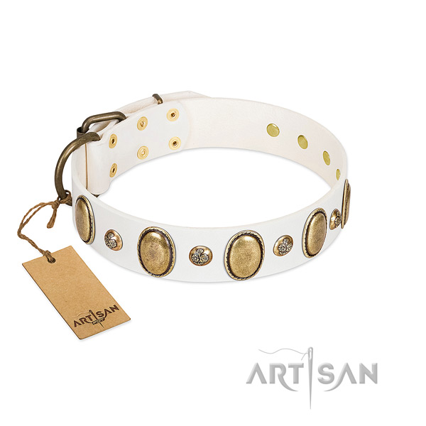 Natural leather dog collar of top rate material with unusual embellishments