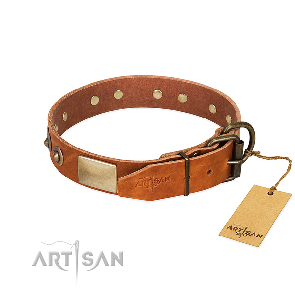 Reliable hardware on walking dog collar
