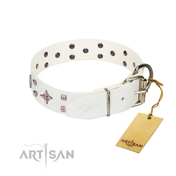 Trendy full grain leather collar for your doggie everyday walking