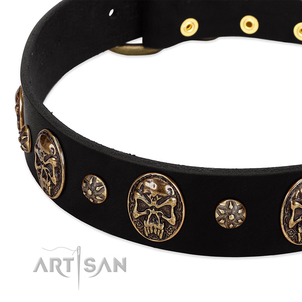 Rust-proof fittings on full grain natural leather dog collar for your doggie