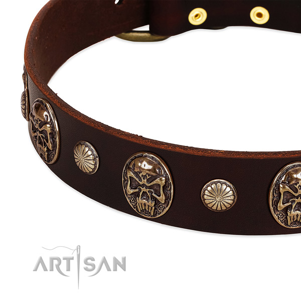 Genuine leather dog collar with studs for daily use