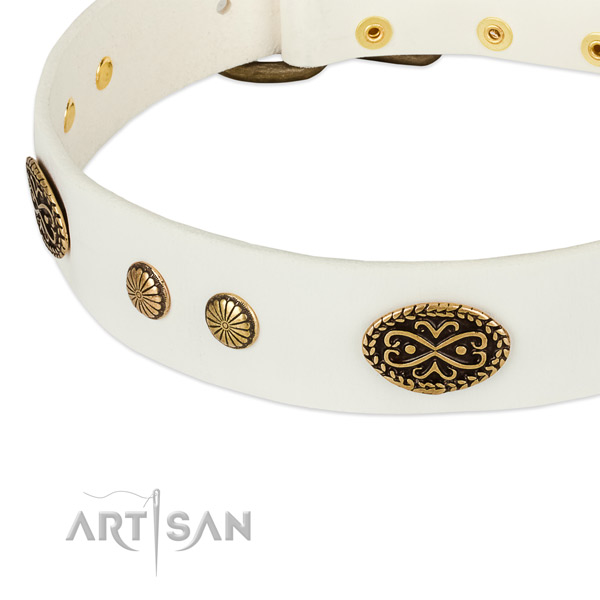 Corrosion proof embellishments on full grain leather dog collar for your canine