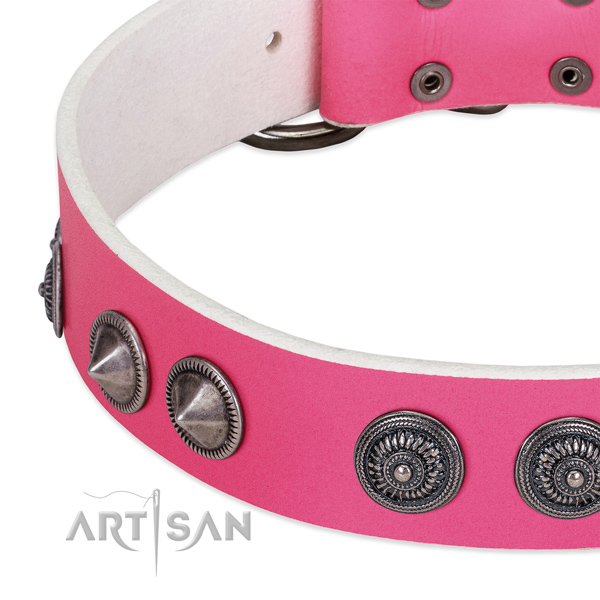 Impressive natural leather collar with adornments for your canine