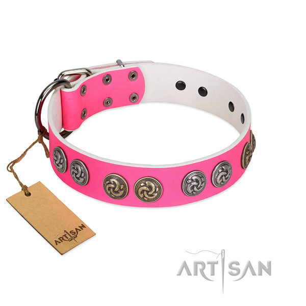 Amazing collar of full grain leather for your handsome four-legged friend