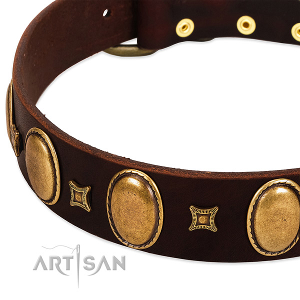 Natural leather dog collar with durable hardware for daily walking