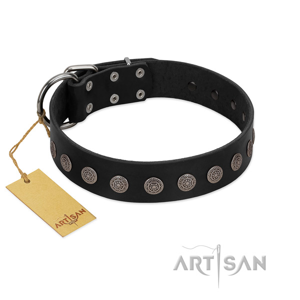 Inimitable genuine leather collar for your dog