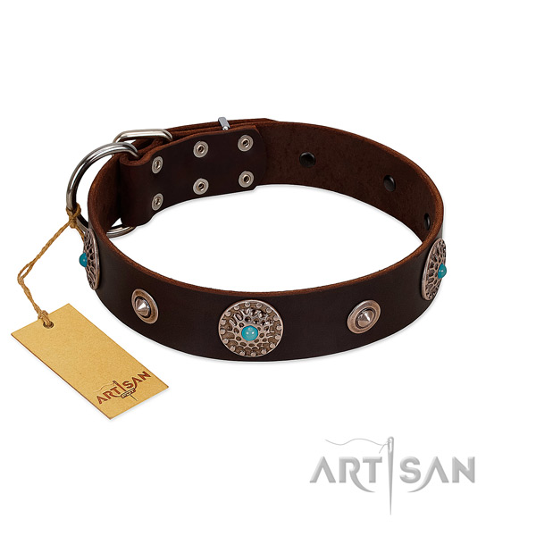 Quality natural leather dog collar crafted for your canine
