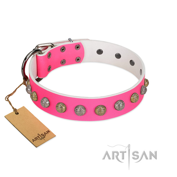 Handmade full grain leather dog collar for basic training