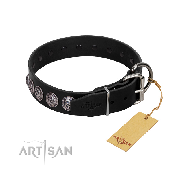 Reliable traditional buckle on full grain leather dog collar for stylish walking your dog