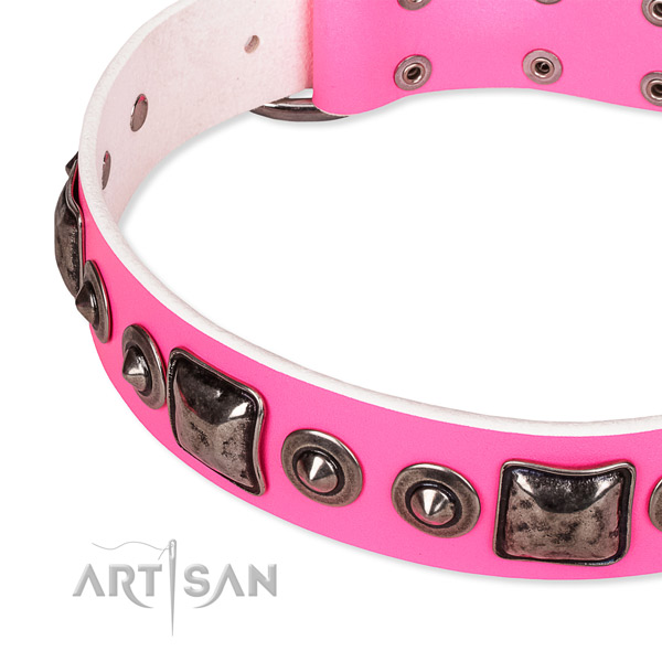 Top notch full grain leather dog collar handcrafted for your stylish dog