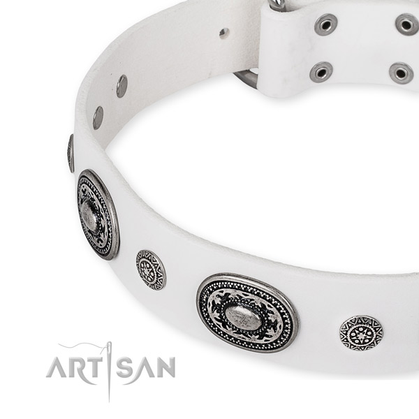 Quality full grain natural leather dog collar made for your impressive doggie