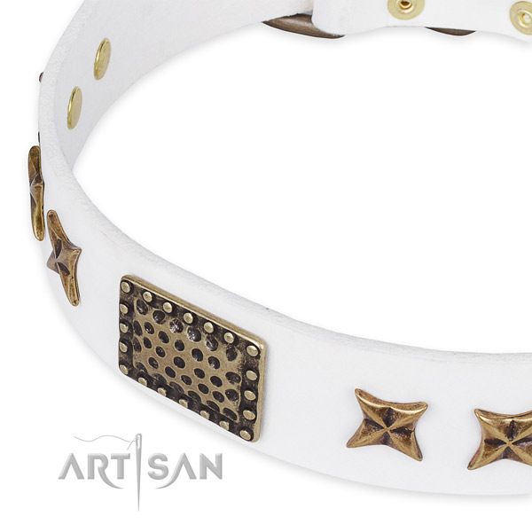 Full grain leather collar with corrosion resistant buckle for your stylish doggie