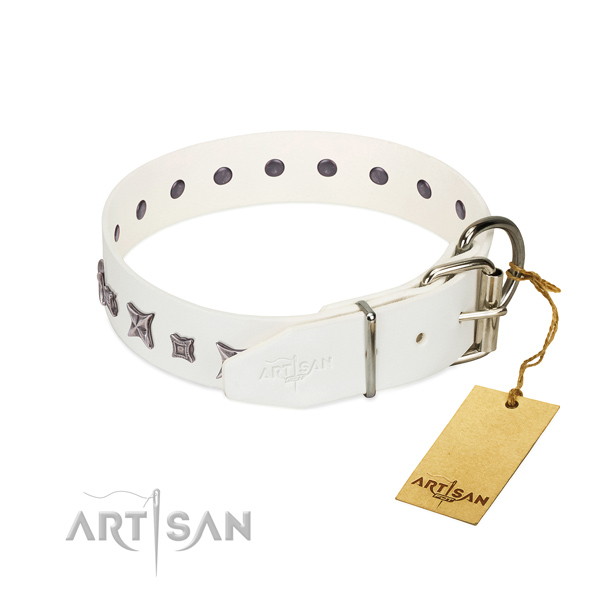 Full grain leather dog collar with trendy adornments created four-legged friend