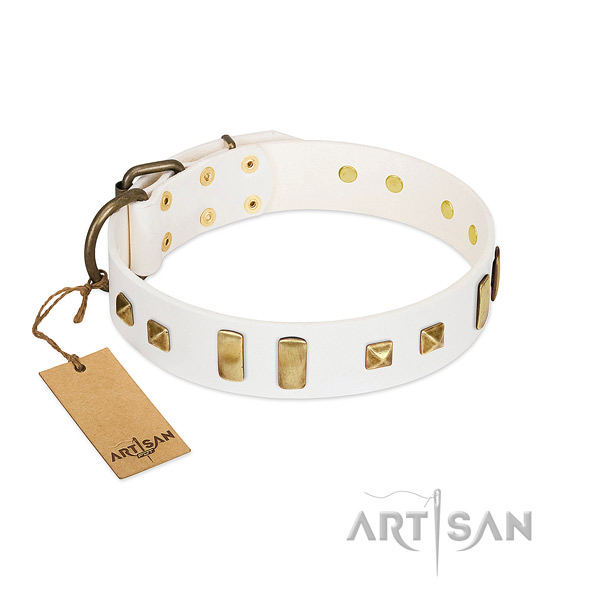 Genuine leather dog collar with reliable fittings