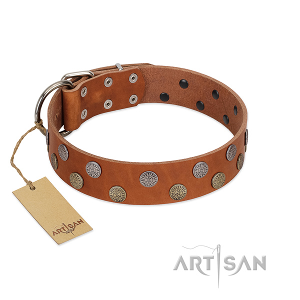 Quality full grain natural leather dog collar with adornments for your four-legged friend