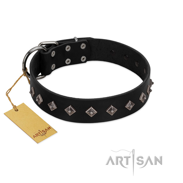 Full grain leather dog collar with top notch decorations made dog