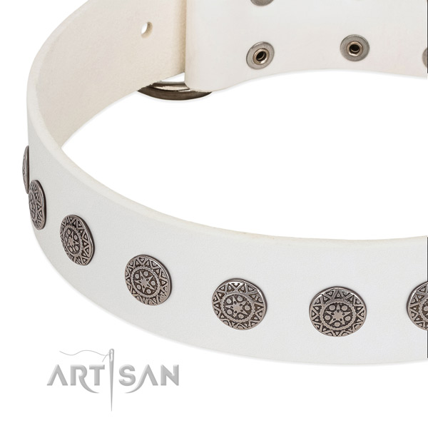 Adjustable genuine leather collar with adornments for your canine