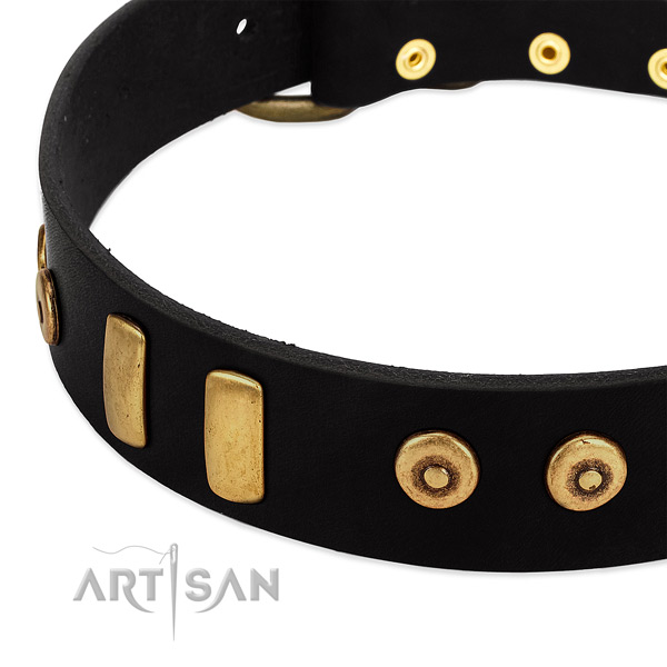Durable full grain leather collar with unique embellishments for your dog