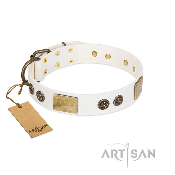 Inimitable full grain genuine leather dog collar for everyday use